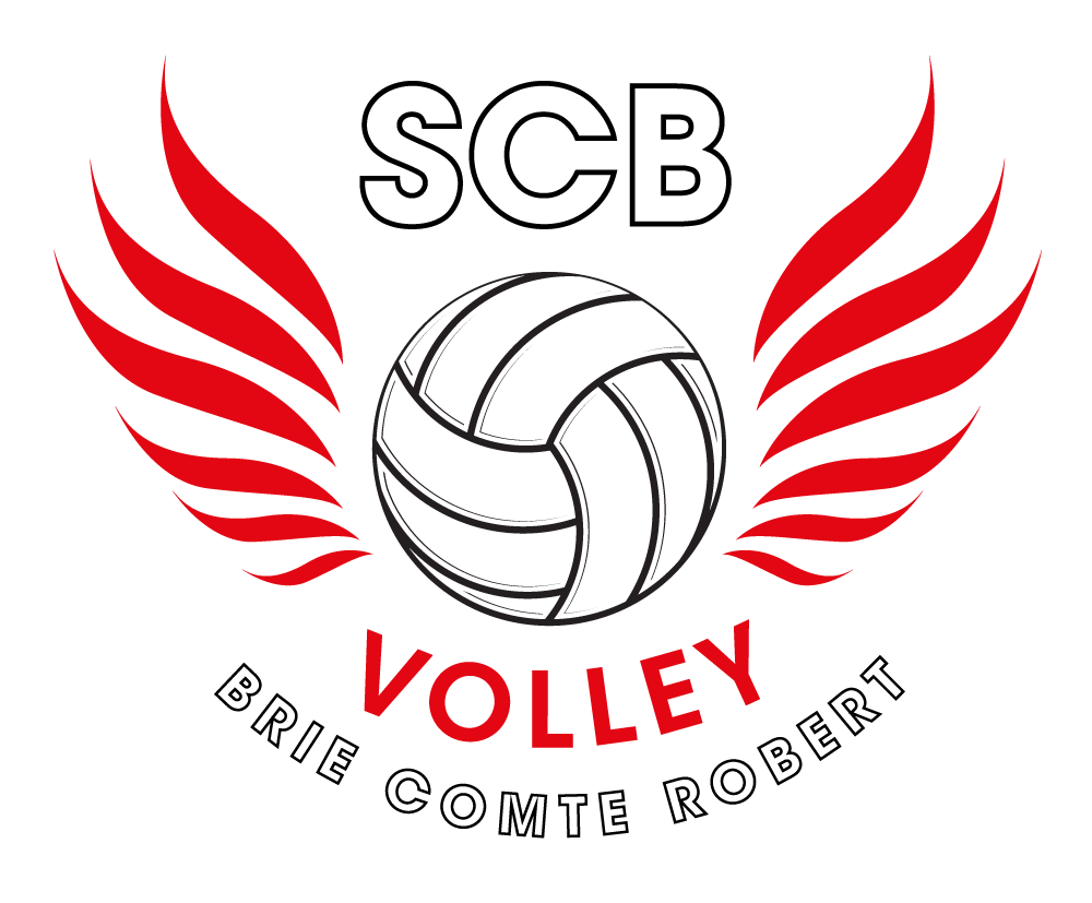 Logo SPORTING CLUB BRIARD VOLLEY BALL
